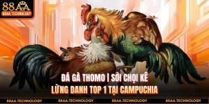 Đá gà Thomo